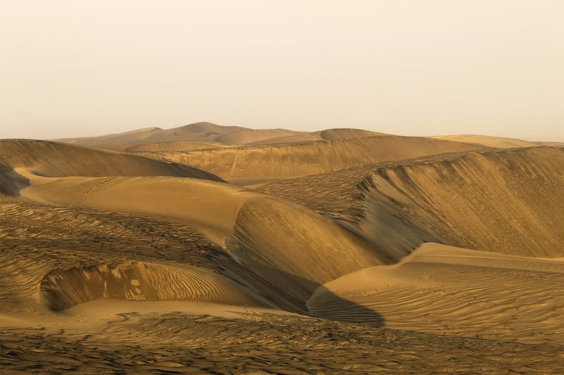 Desert Landscapes
